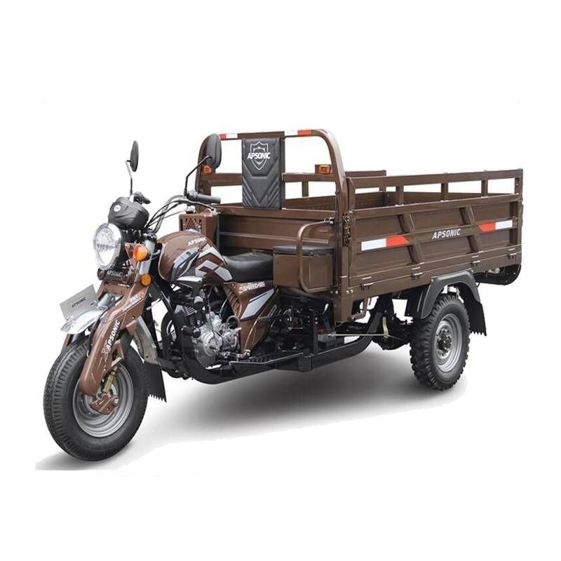 Apsonic 200cc Cargo Tricycle (Aboboyaa)